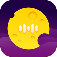 蜜蜂加速器安卓app下载