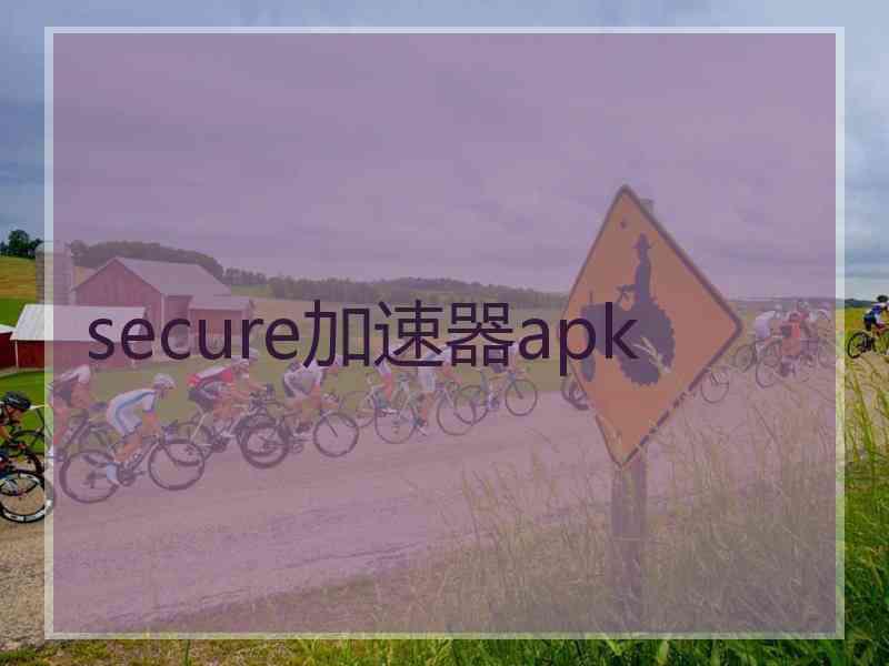 secure加速器apk