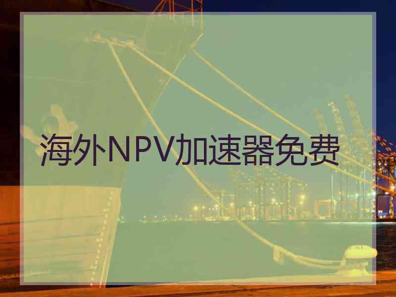 海外NPV加速器免费
