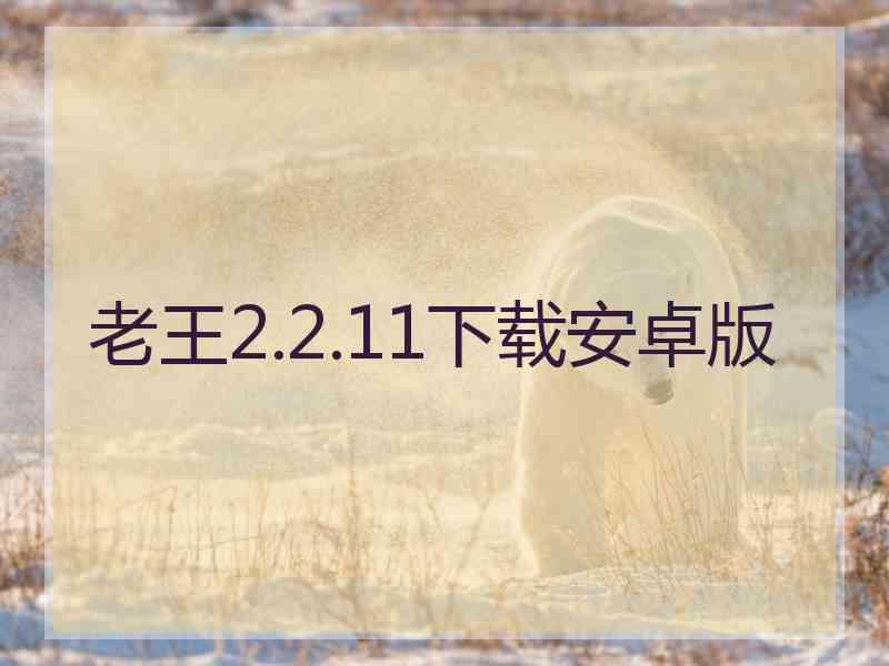 老王2.2.11下载安卓版