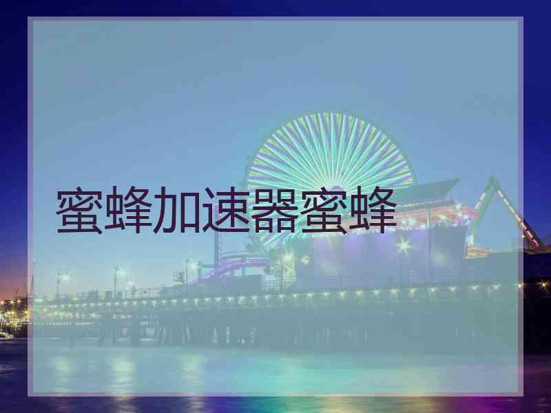 蜜蜂加速器蜜蜂