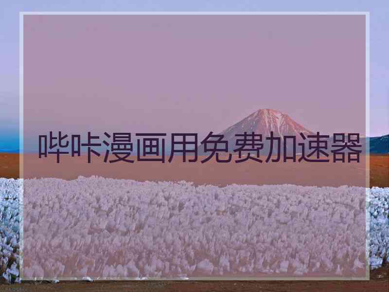 哔咔漫画用免费加速器