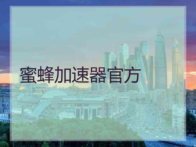 蜜蜂加速器官方