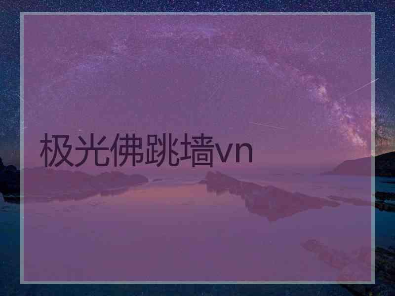 极光佛跳墙vn