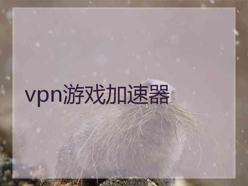 vpn游戏加速器