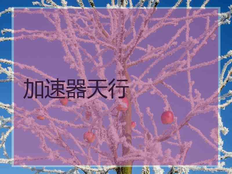加速器天行