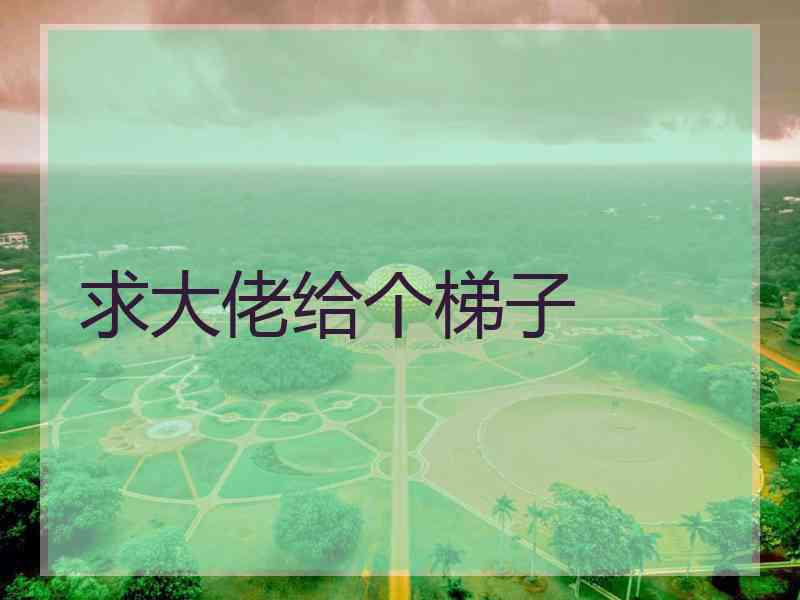 求大佬给个梯子