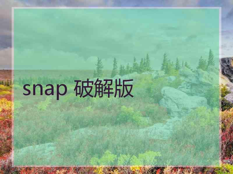 snap 破解版