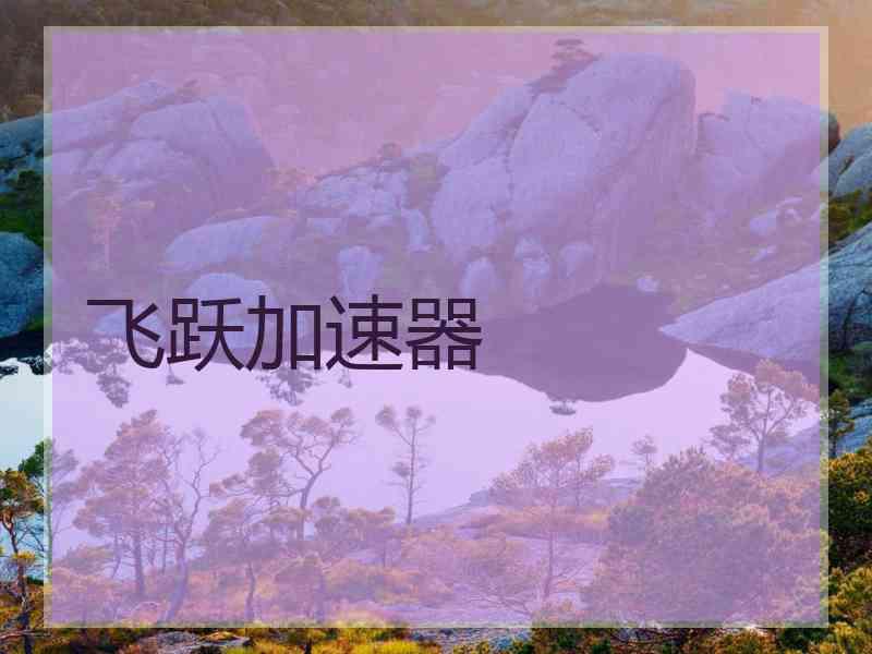 飞跃加速器