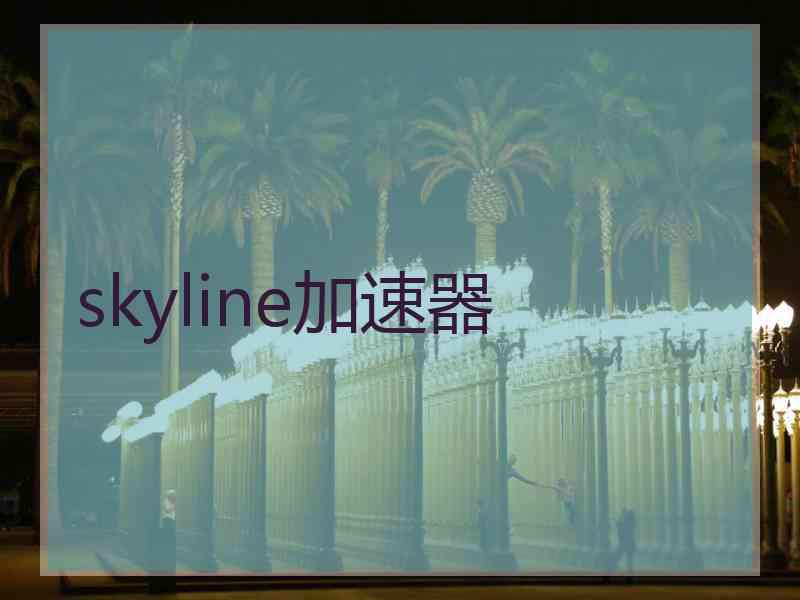 skyline加速器