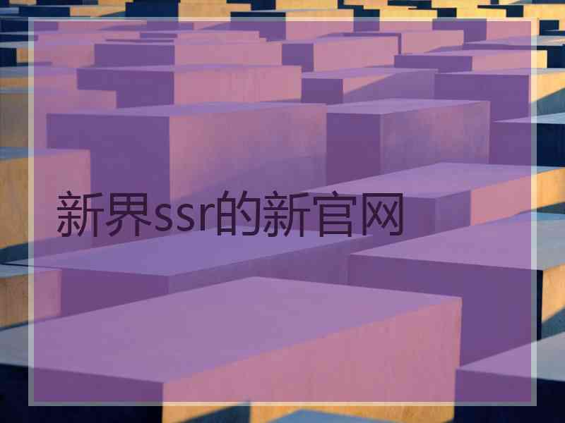 新界ssr的新官网