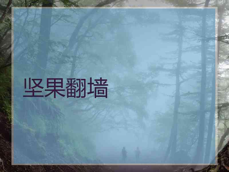 坚果翻墙