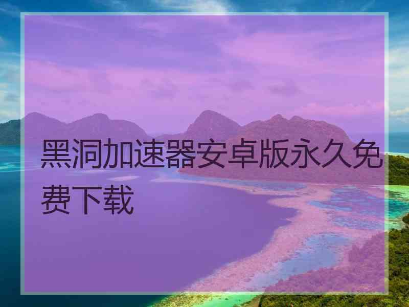 黑洞加速器安卓版永久免费下载