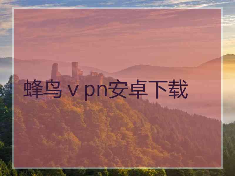 蜂鸟ⅴpn安卓下载
