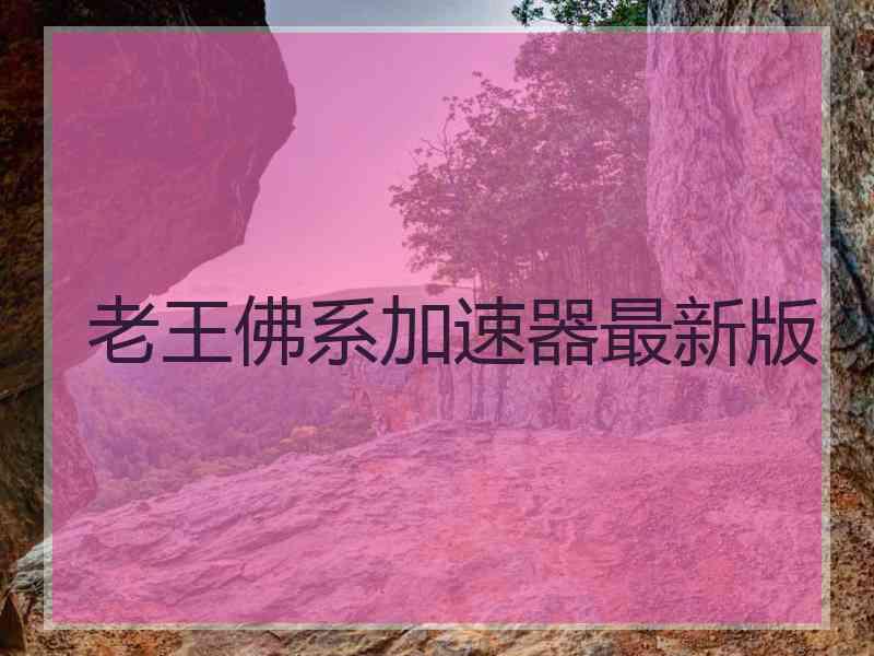 老王佛系加速器最新版