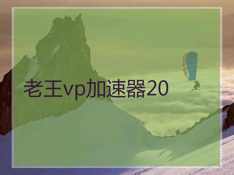 老王vp加速器20