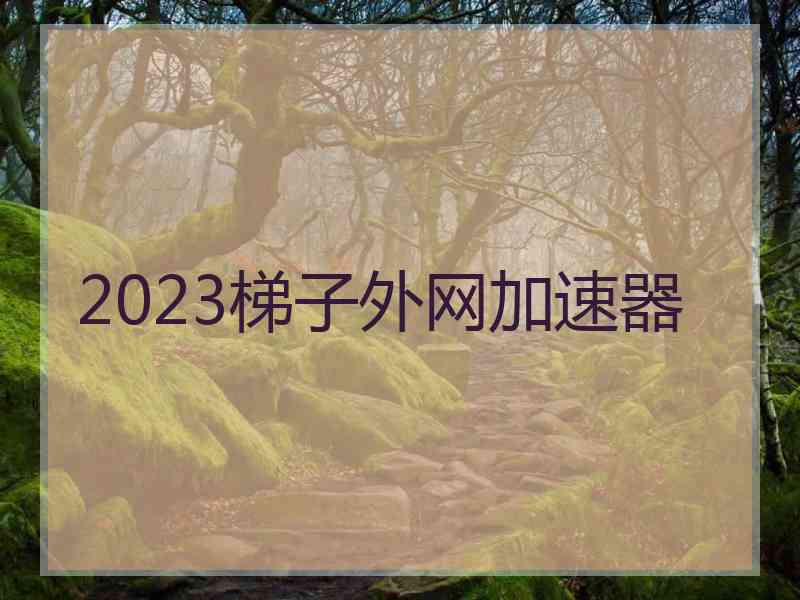 2023梯子外网加速器