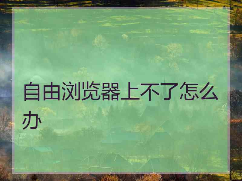 自由浏览器上不了怎么办