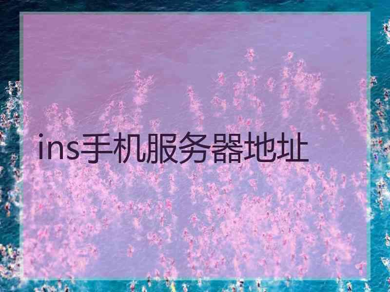 ins手机服务器地址