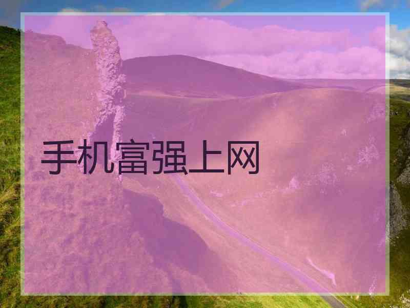手机富强上网