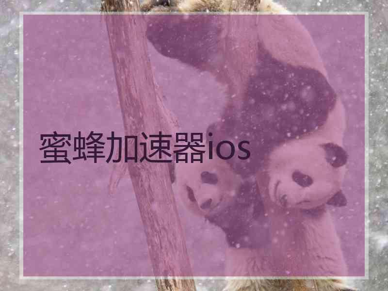 蜜蜂加速器ios