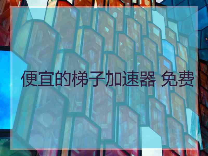 便宜的梯子加速器 免费