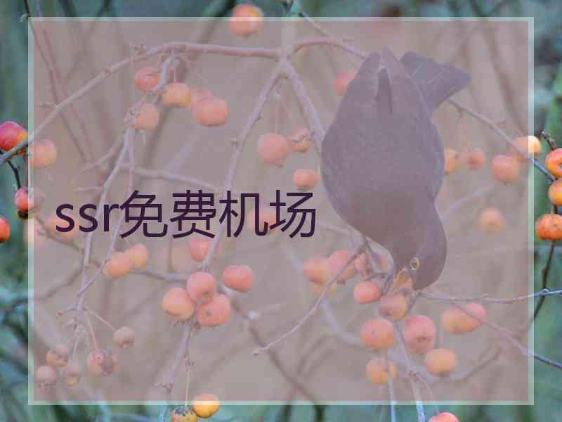 ssr免费机场