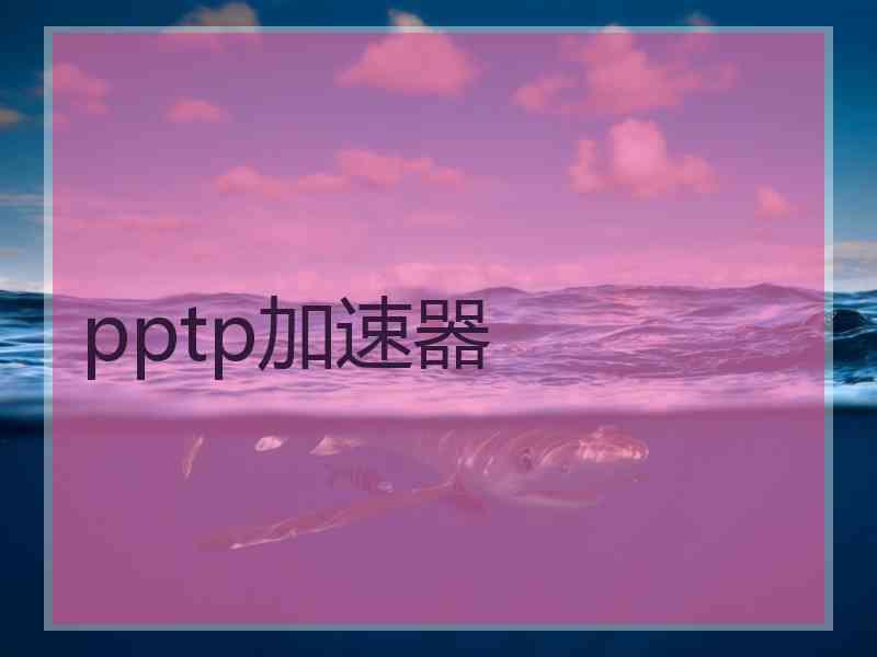 pptp加速器