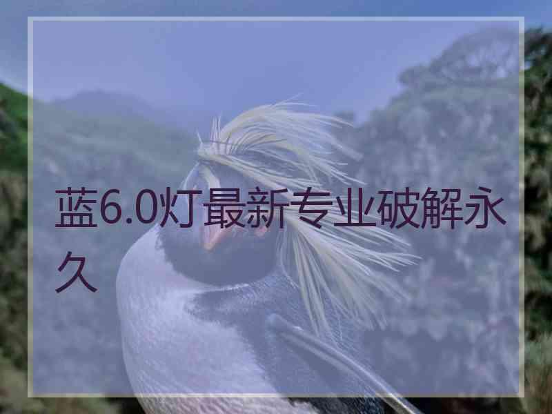 蓝6.0灯最新专业破解永久
