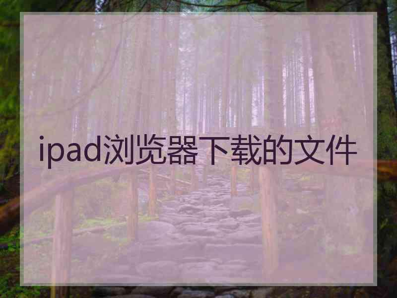 ipad浏览器下载的文件