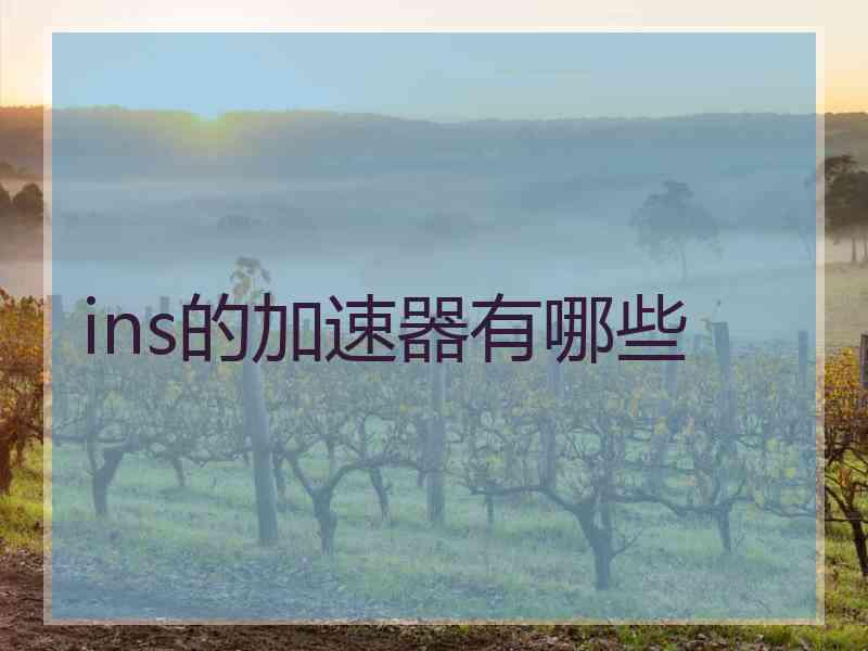 ins的加速器有哪些