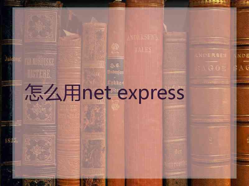 怎么用net express
