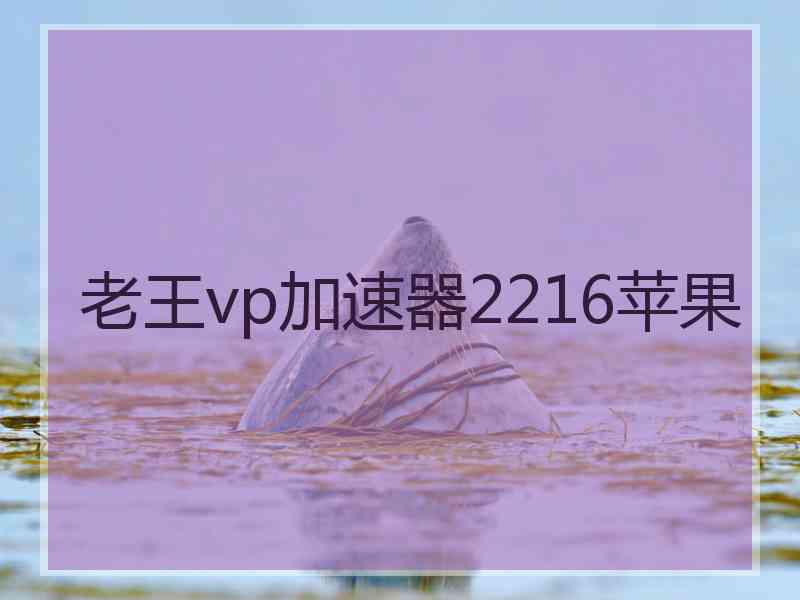 老王vp加速器2216苹果