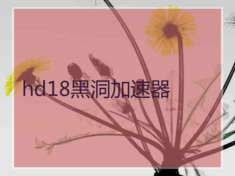 hd18黑洞加速器