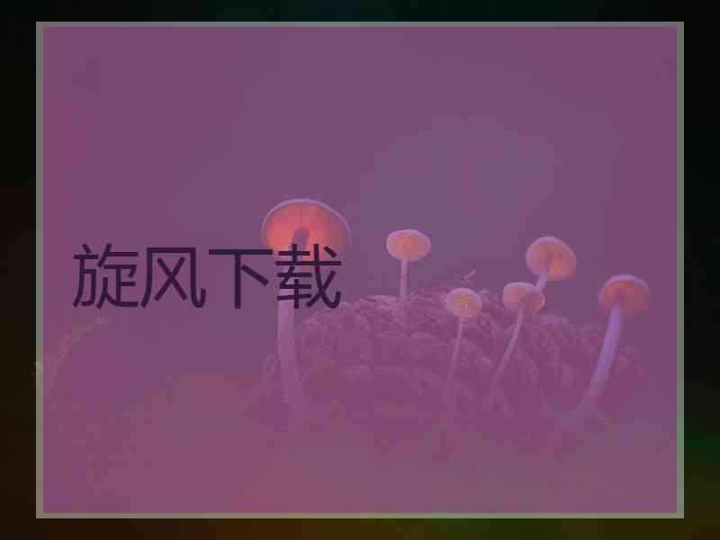 旋风下载