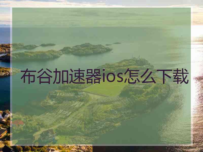布谷加速器ios怎么下载