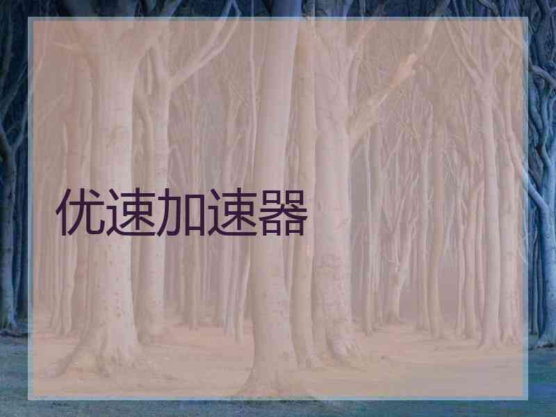 优速加速器