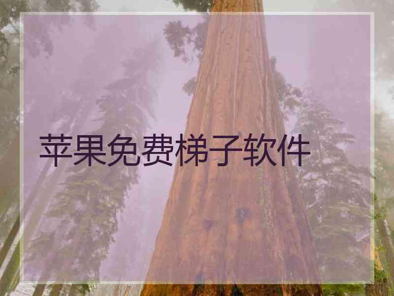 苹果免费梯子软件
