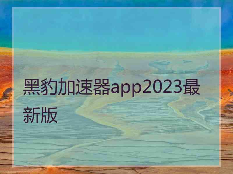 黑豹加速器app2023最新版