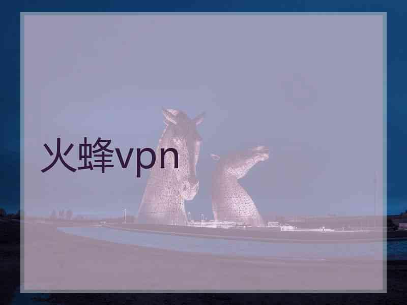 火蜂vpn