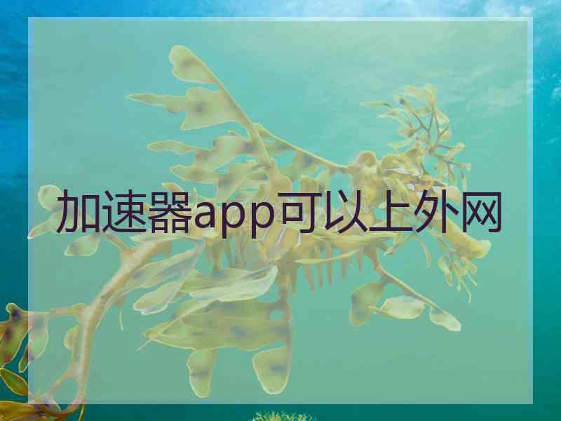 加速器app可以上外网