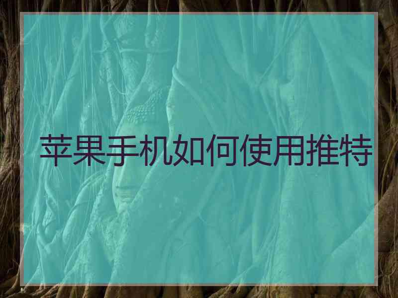 苹果手机如何使用推特