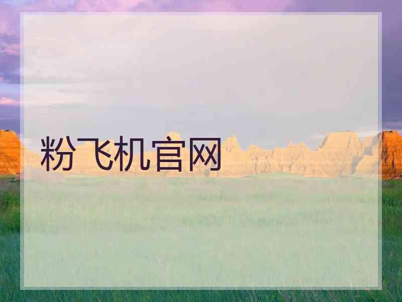 粉飞机官网