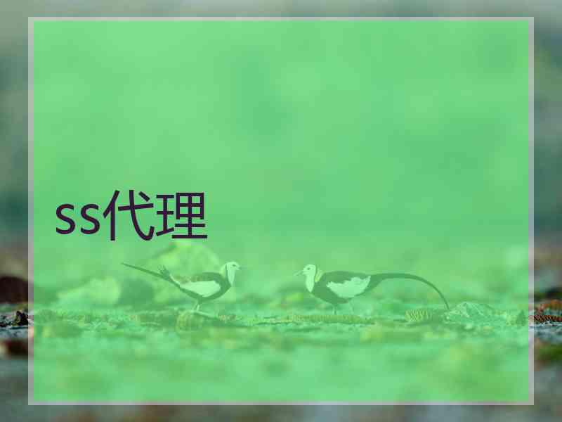 ss代理