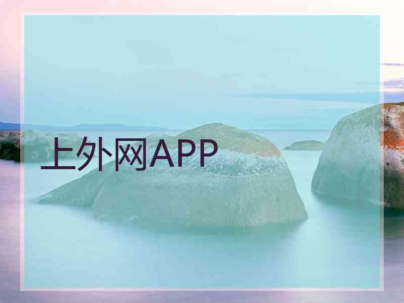 上外网APP