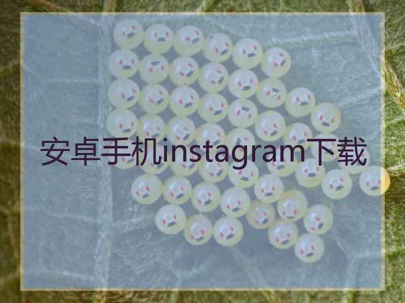安卓手机instagram下载