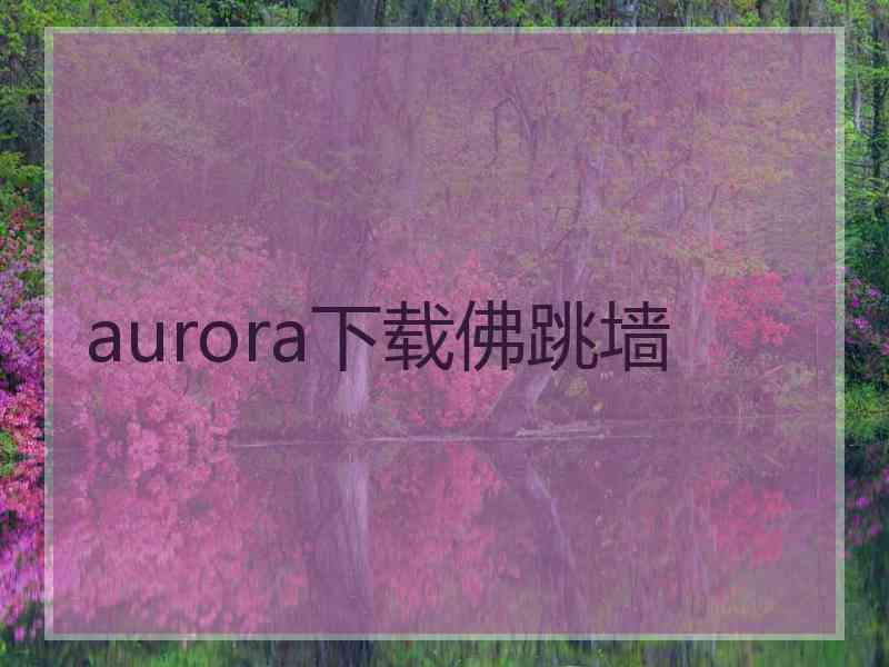aurora下载佛跳墙