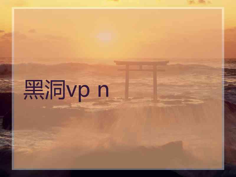黑洞vp n