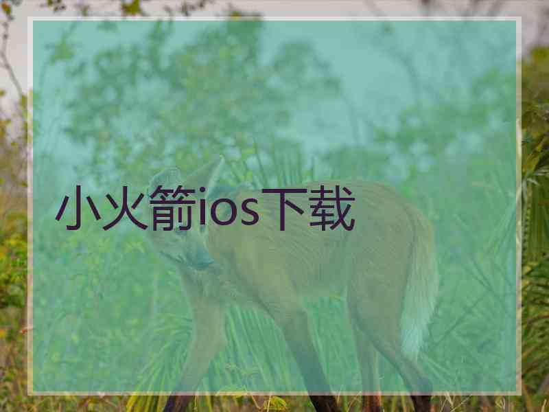 小火箭ios下载