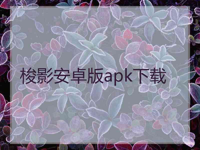 梭影安卓版apk下载